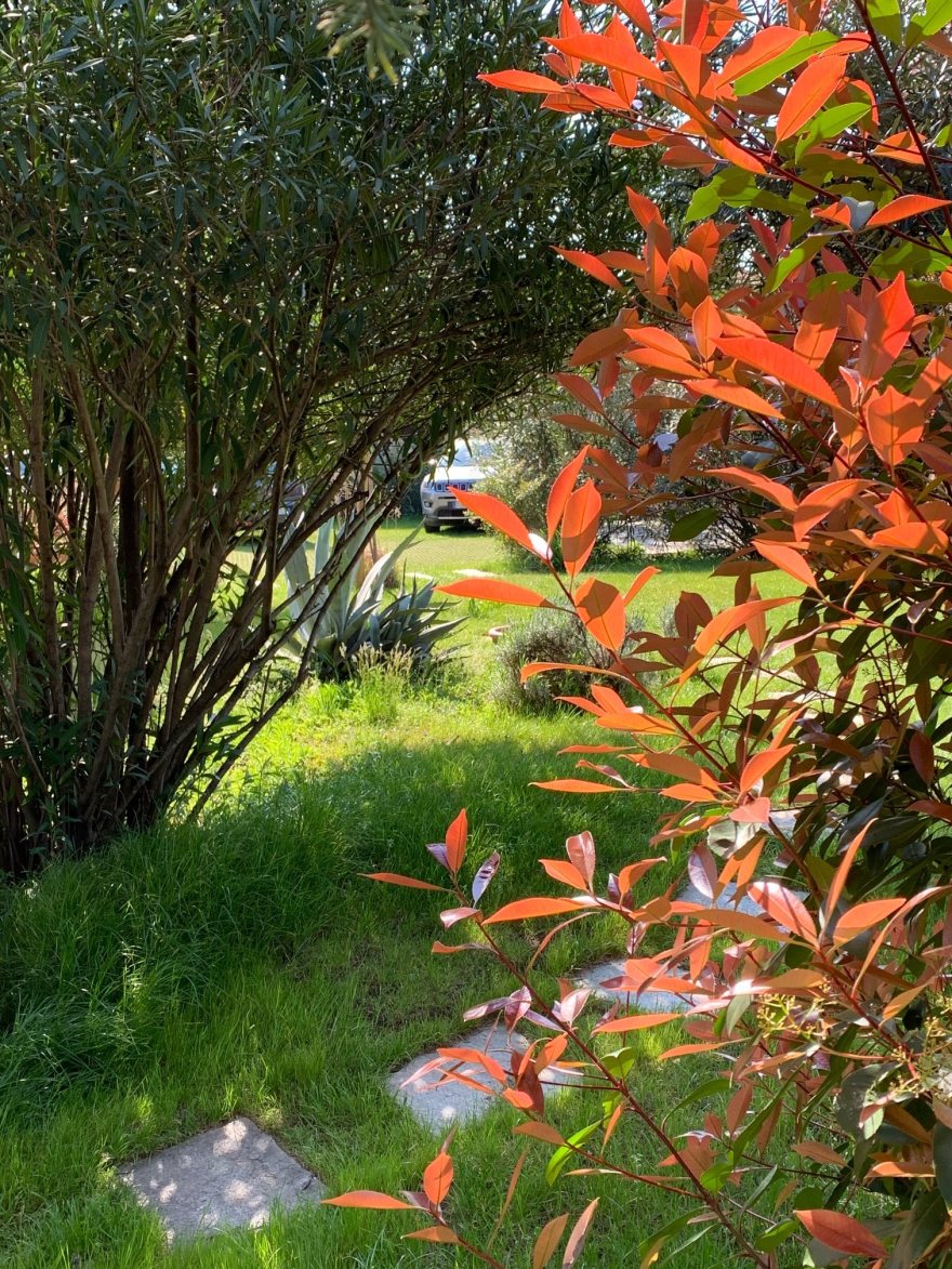 意大利湖畔私人庭院景观设计-10