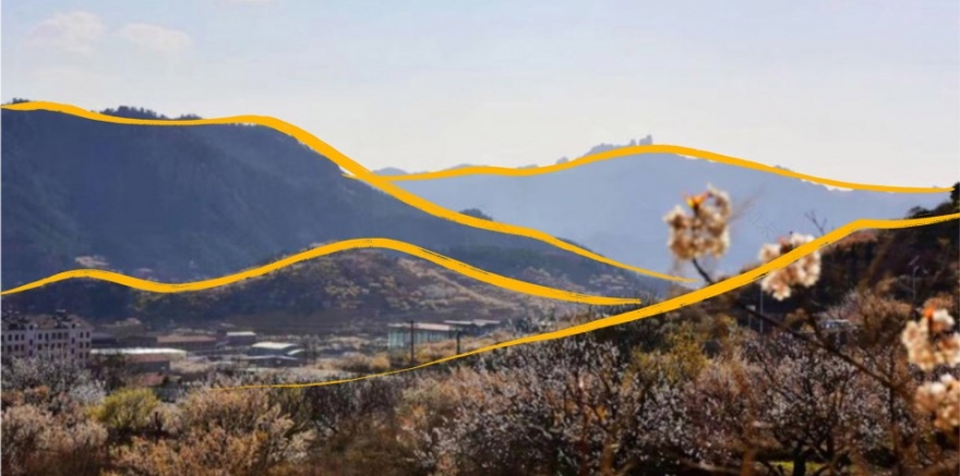 青岛北宅小学丨中国青岛丨广维建筑-31