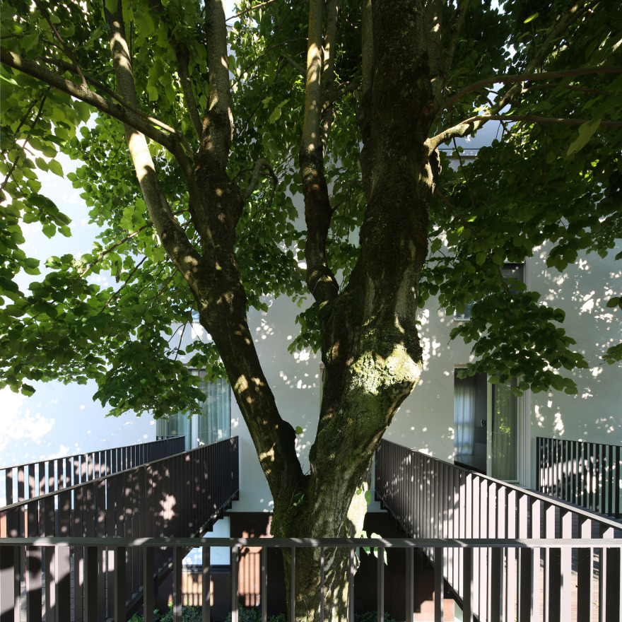 五十年代住宅的现代复兴-1