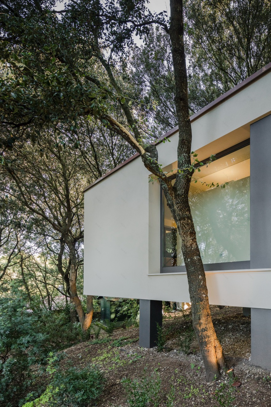 悬浮森林中的别墅-7