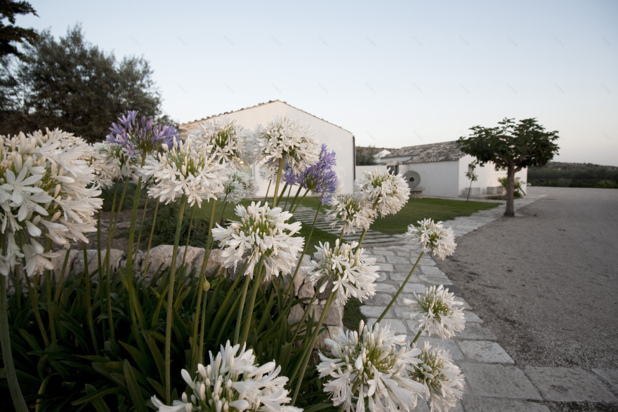 意大利乡村风情民宿设计-6