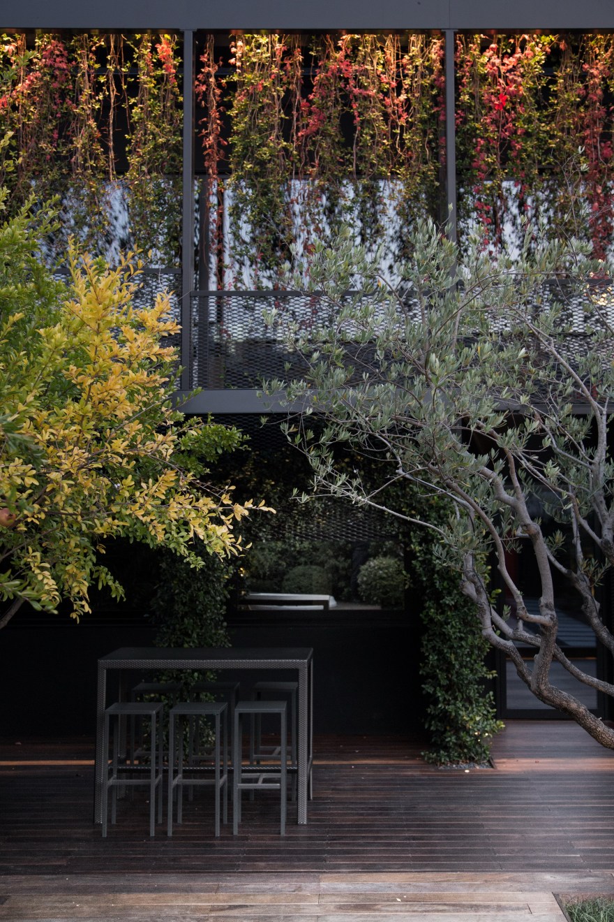 绿意盎然的音乐工作室 | 透明玻璃与植物墙的创意融合-3