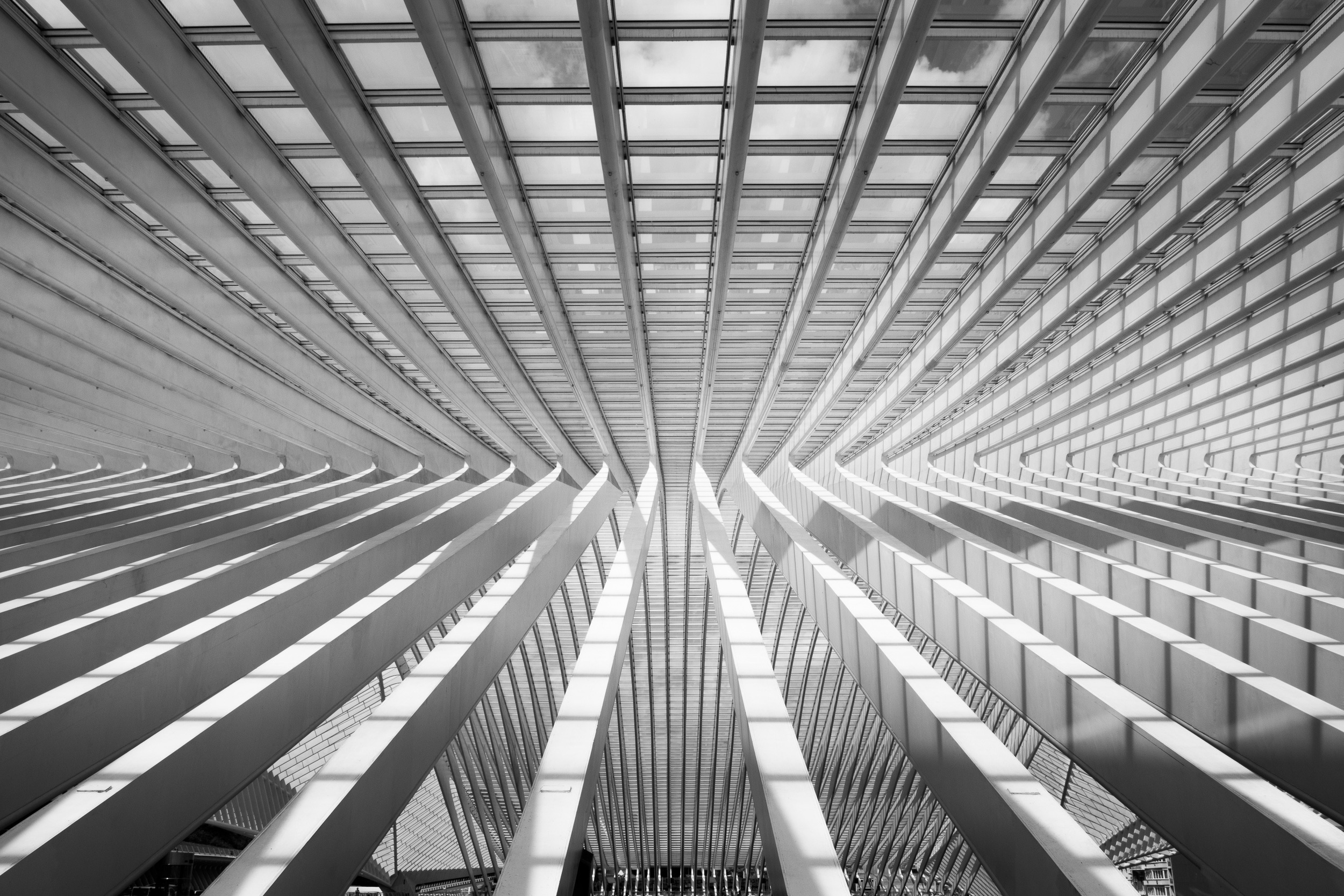 LIÈGE-GUILLEMINS STATION-11