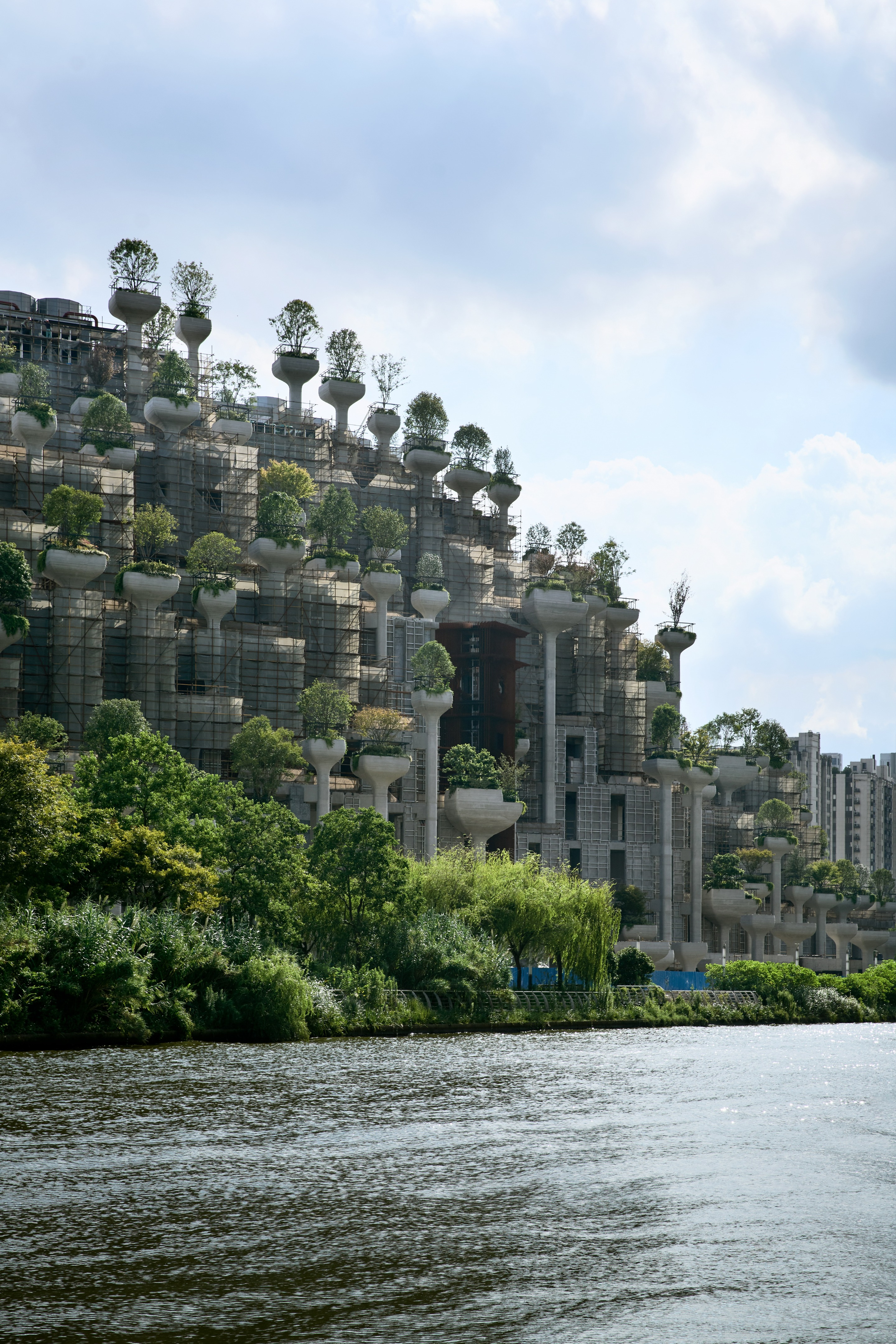 上海 1000 棵树丨中国上海丨Heatherwick Studio-13