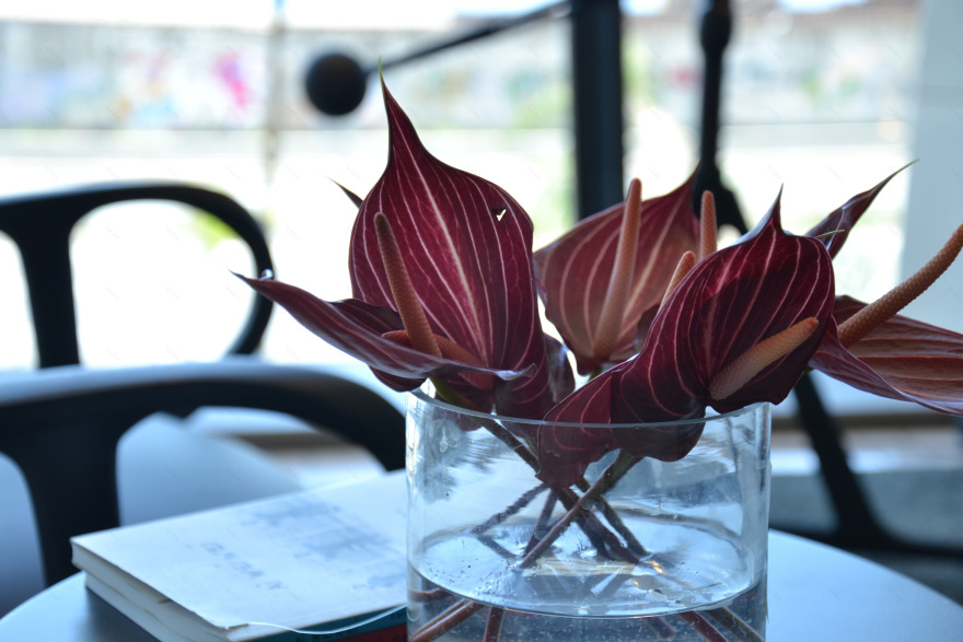 里约科萨 2017-23