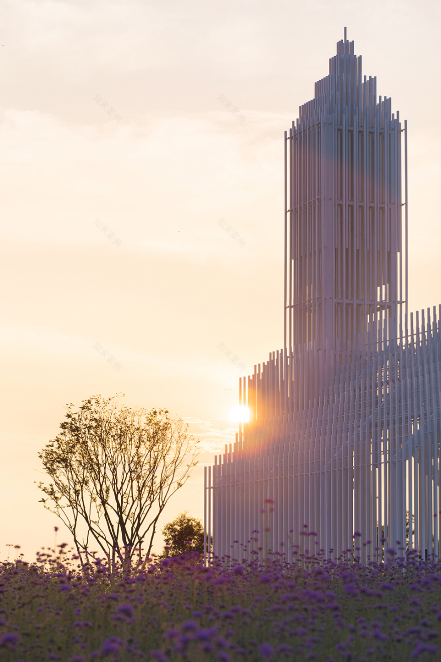 无影教堂,成都/纯粹的白色与光影的交织-33