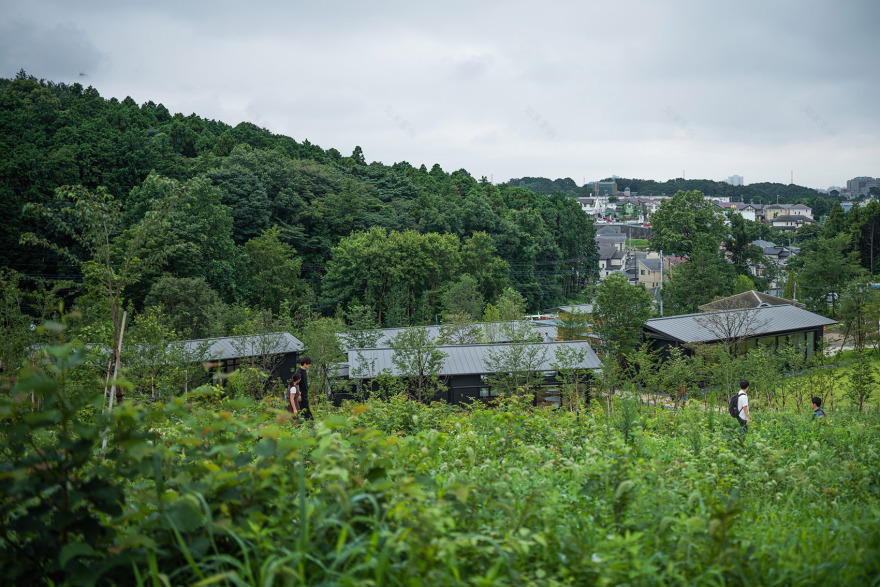 町田药师池公园“四季彩之森”游客中心,日本/运用村落般的建筑形式营造愉悦步行体验-11