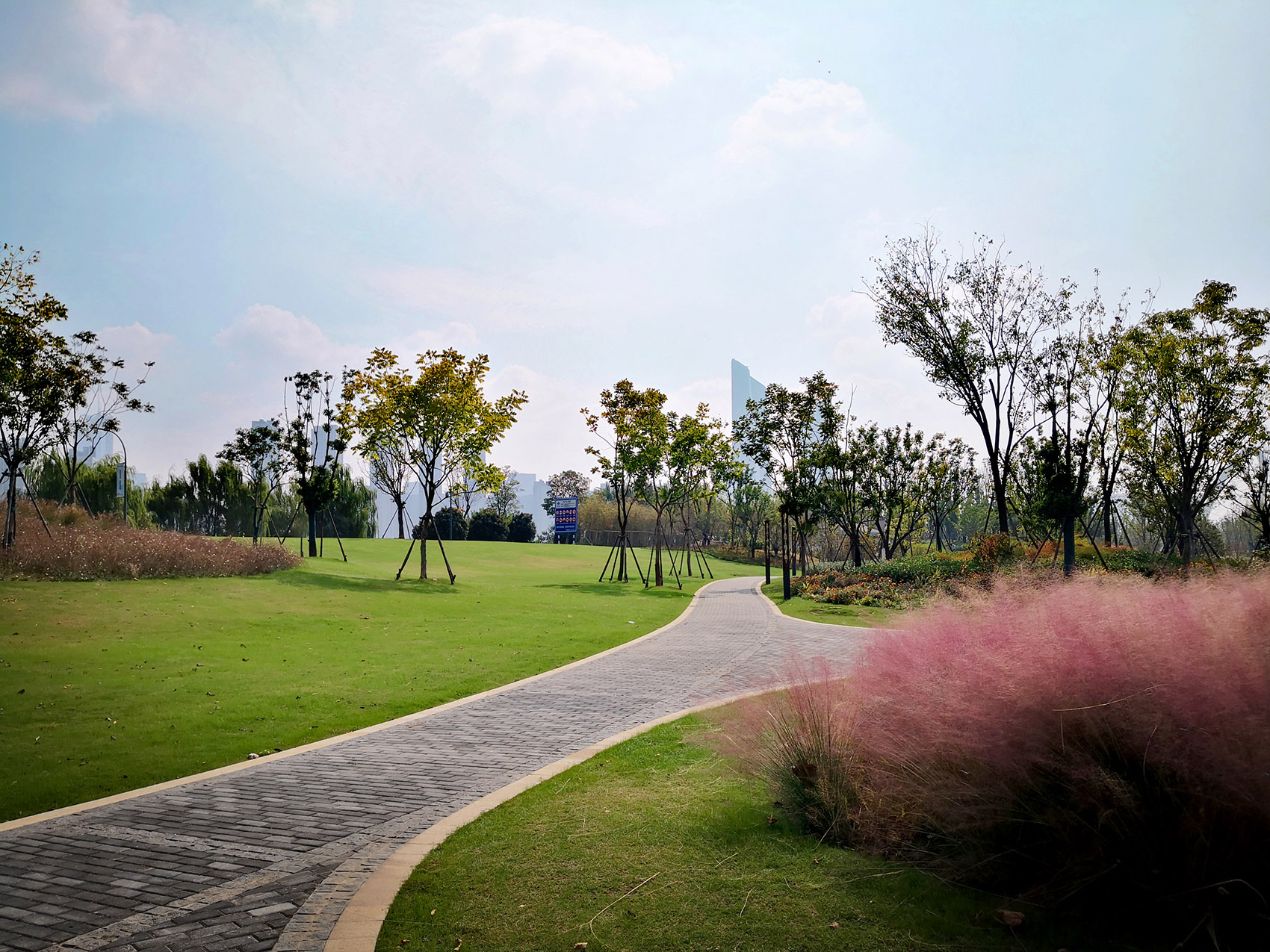 新加坡·南京生态科技岛，南京/一叶江洲·野趣绿廊-136
