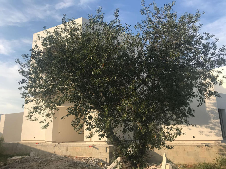 线性白建筑 | 家庭住宅的简约之美-12