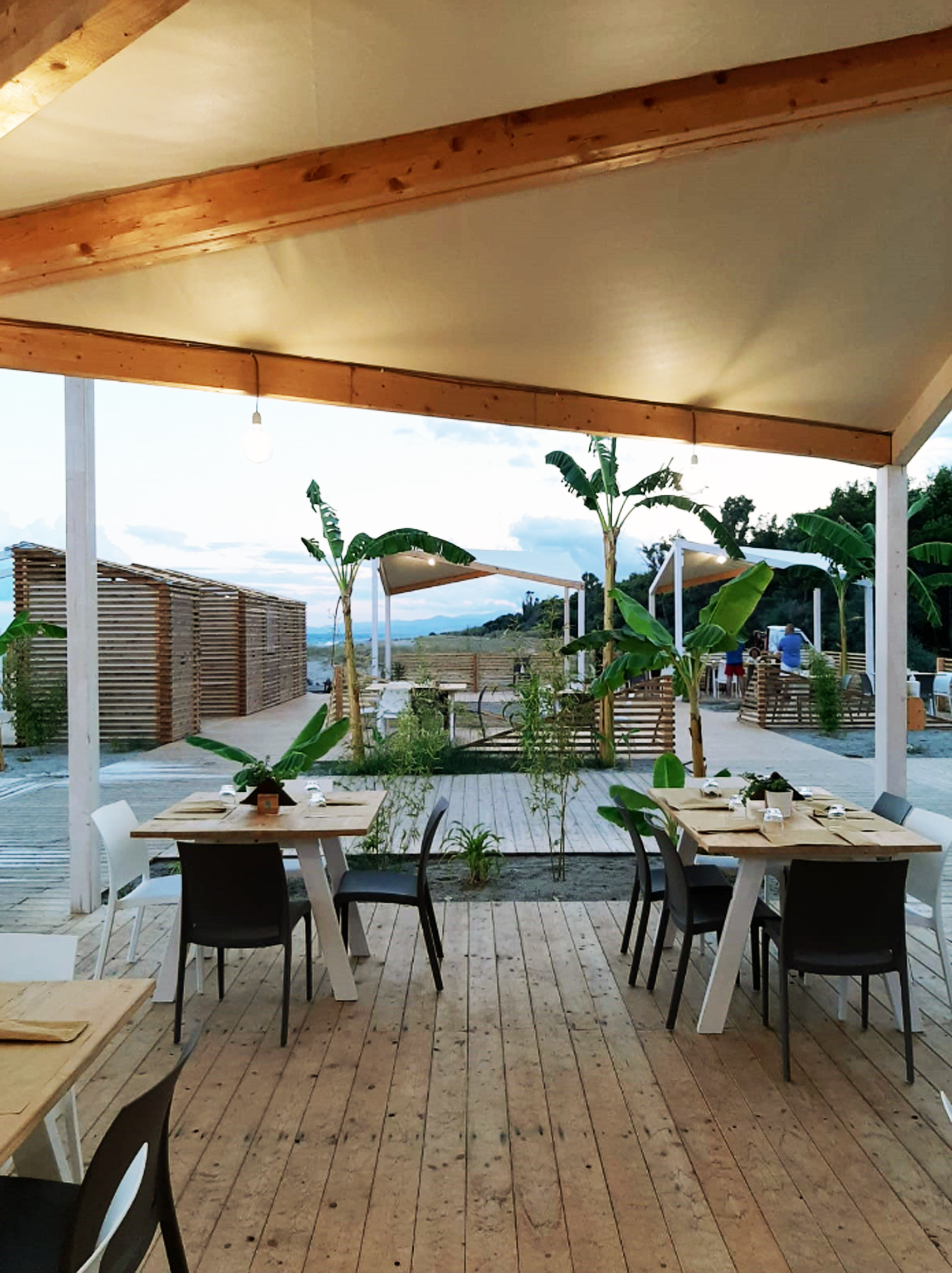 "自然元素与建筑结构的有机融合"-6