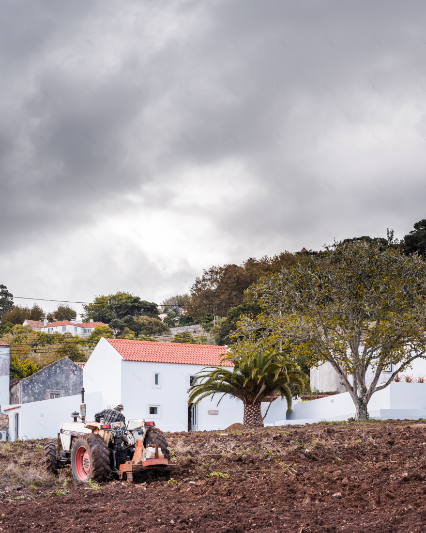 葡萄园别墅翻新 | 打造内外和谐共生的空间-0