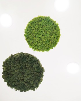 EDEN 牙科诊所设计
