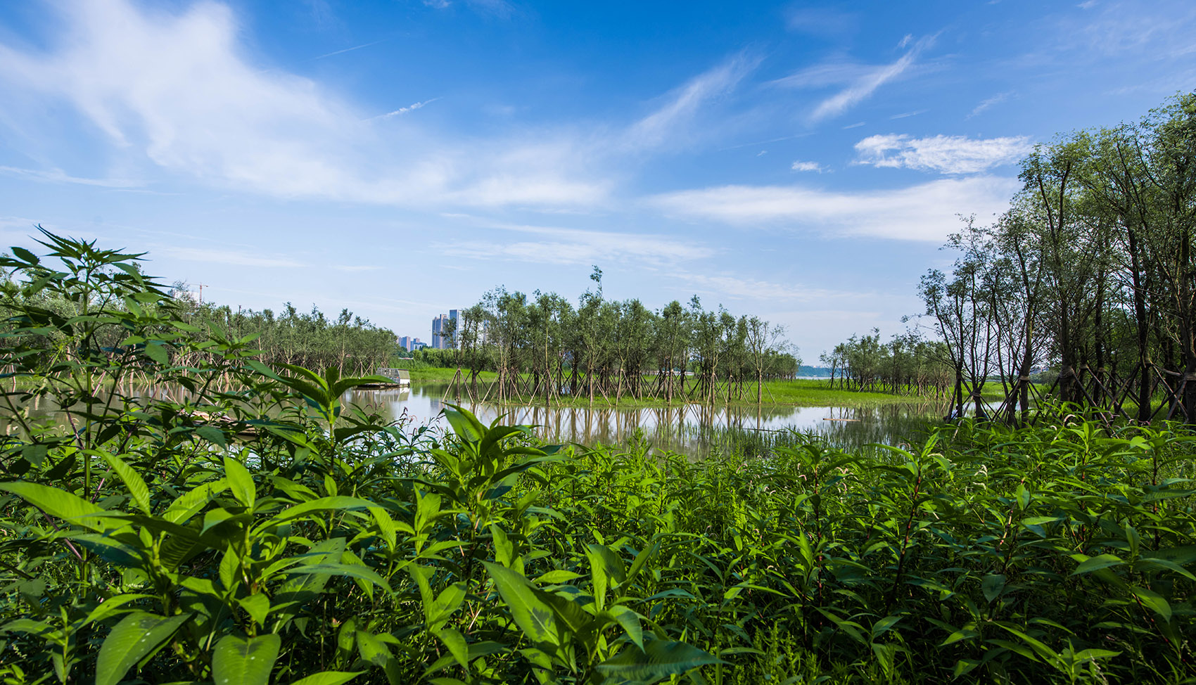 长沙湘江江滩公园/最好的防御就是适应-25