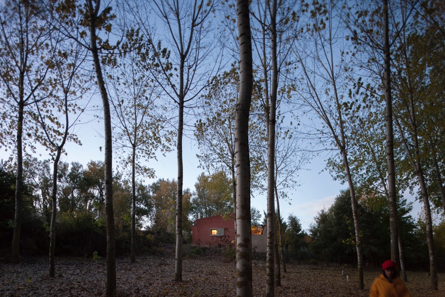 融入自然的"Doñana 小屋" | 经济实用与情感连接的共生之作-7