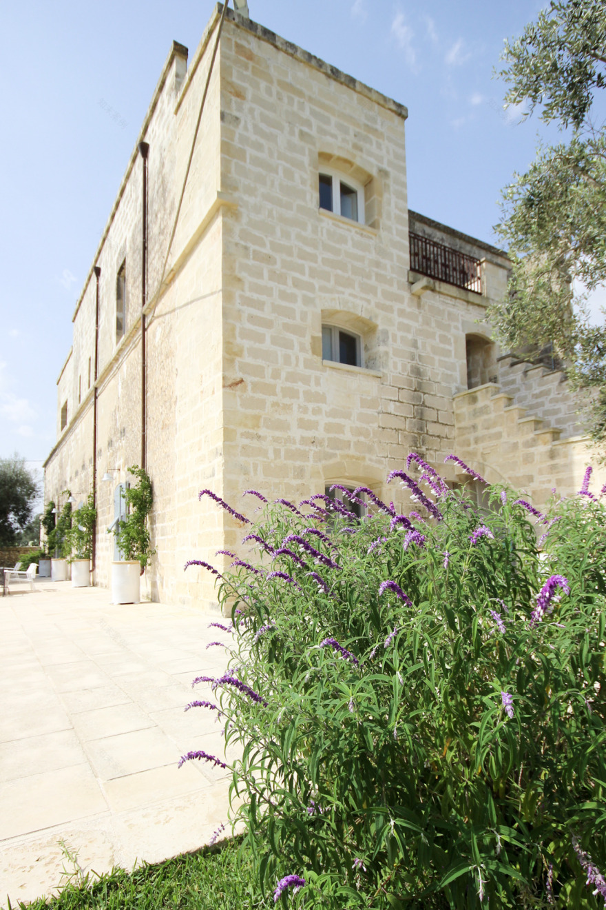 斯帕蒂文托农场-26