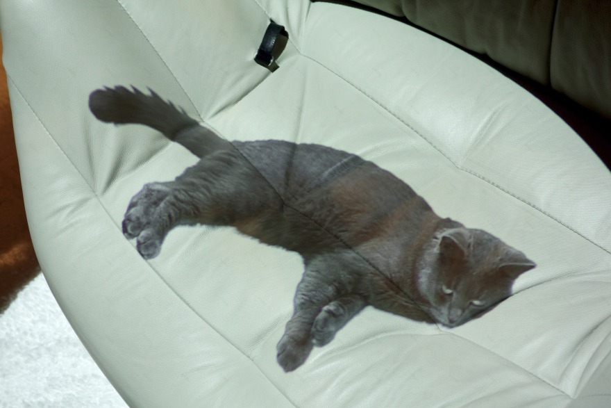 瞬间灵感·办公空间变革探索-24