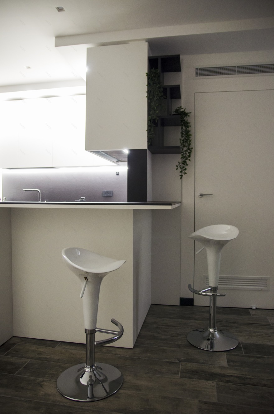 黑白风格公寓的节能环保设计-31