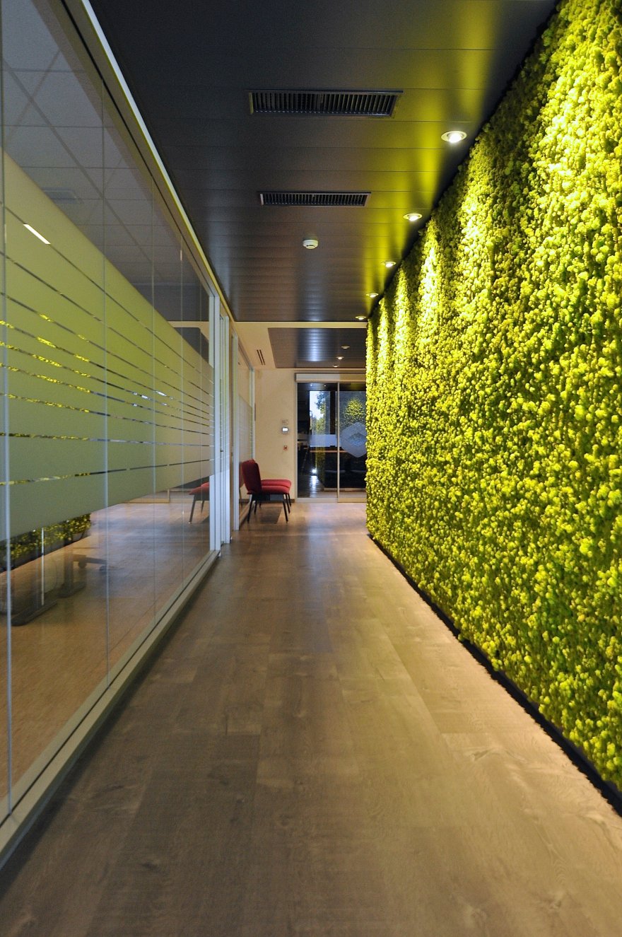 CETOC 办公室 · 绿色与红色的活力空间-4