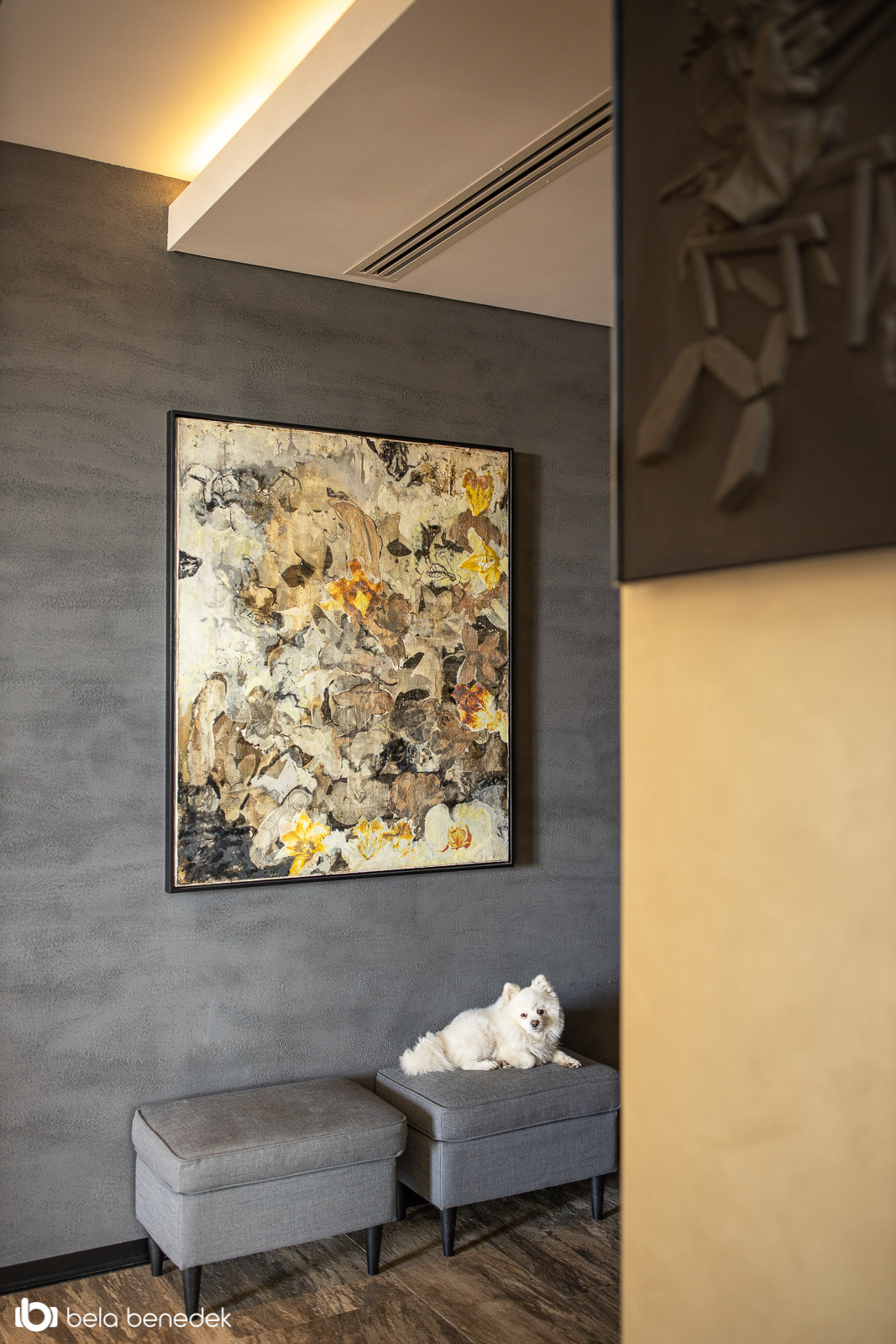 Stefan Vlad丨别墅建筑丨House X-27