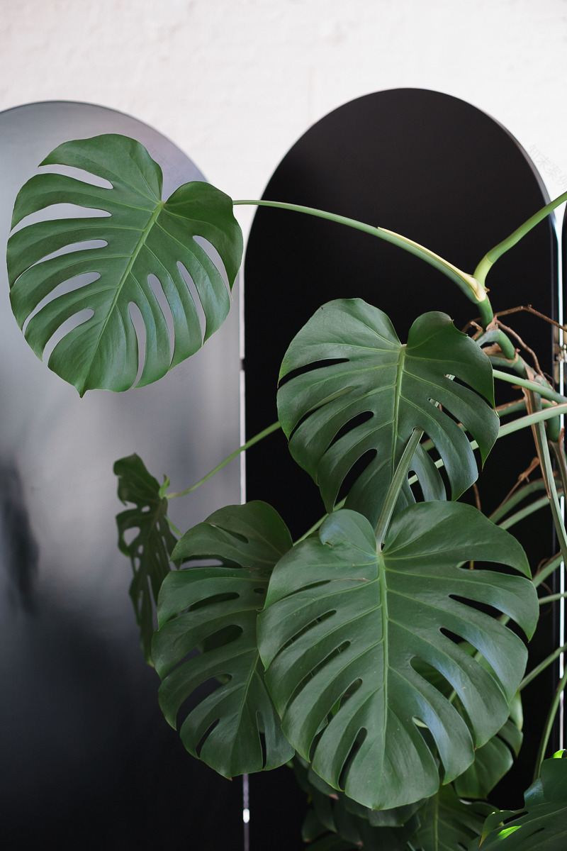 穿越俄罗斯的斯堪的纳维亚极简风-36