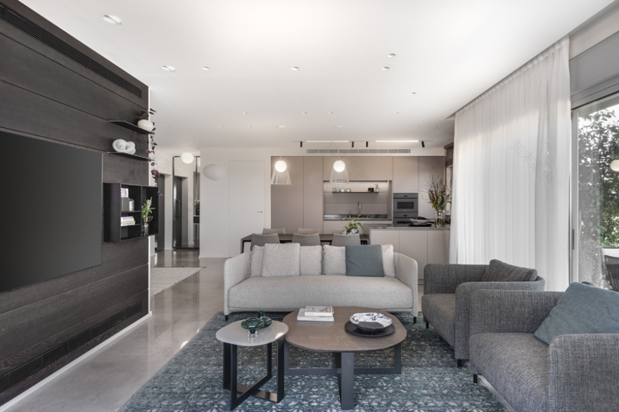 意大利制造的以色列顶层公寓-6