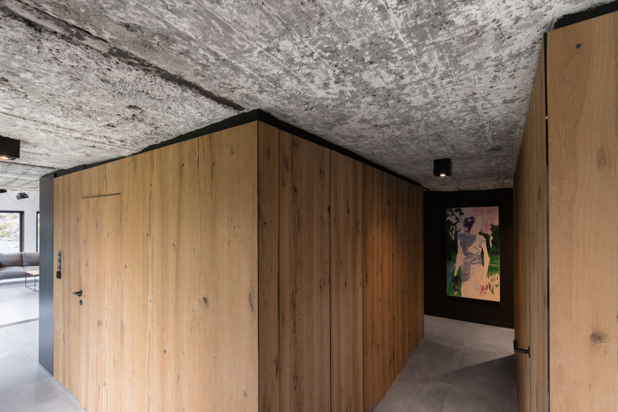 西里西亚之家(Ślonsko 小屋)-26