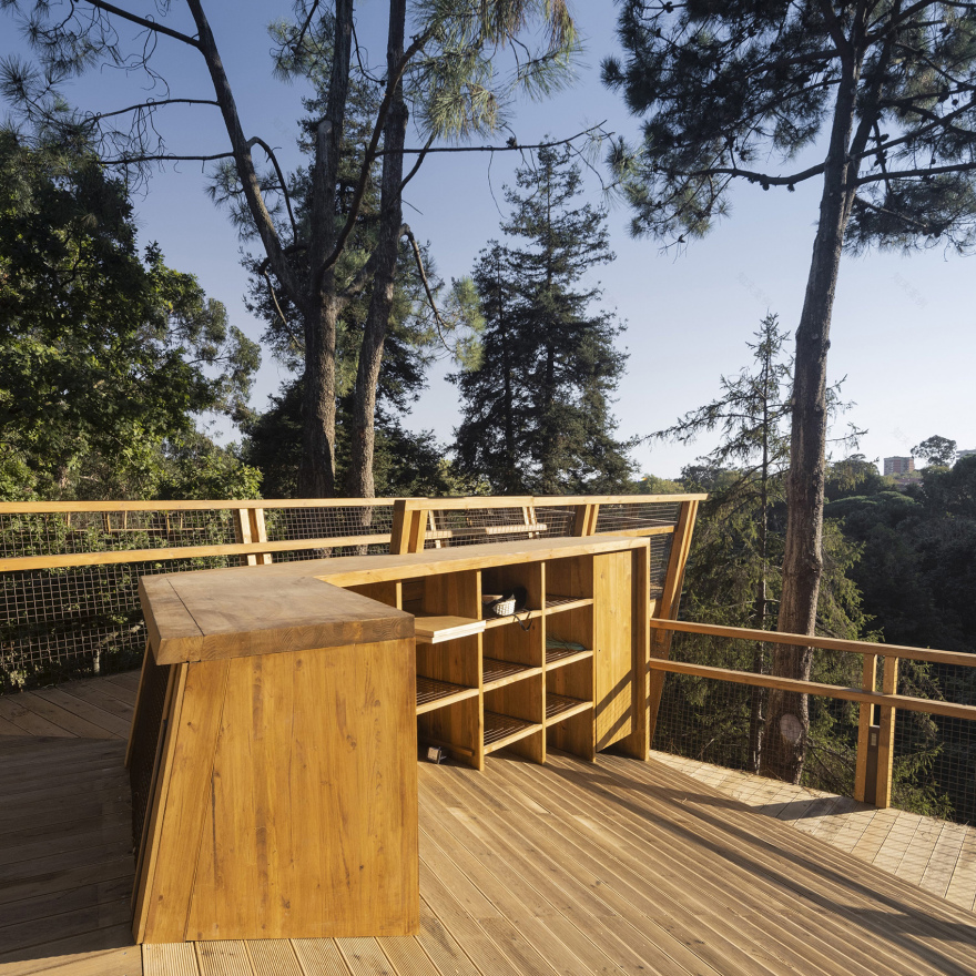 赛拉维斯公园树冠步道丨葡萄牙波尔图丨卡洛斯·卡斯塔涅拉建筑事务所-26