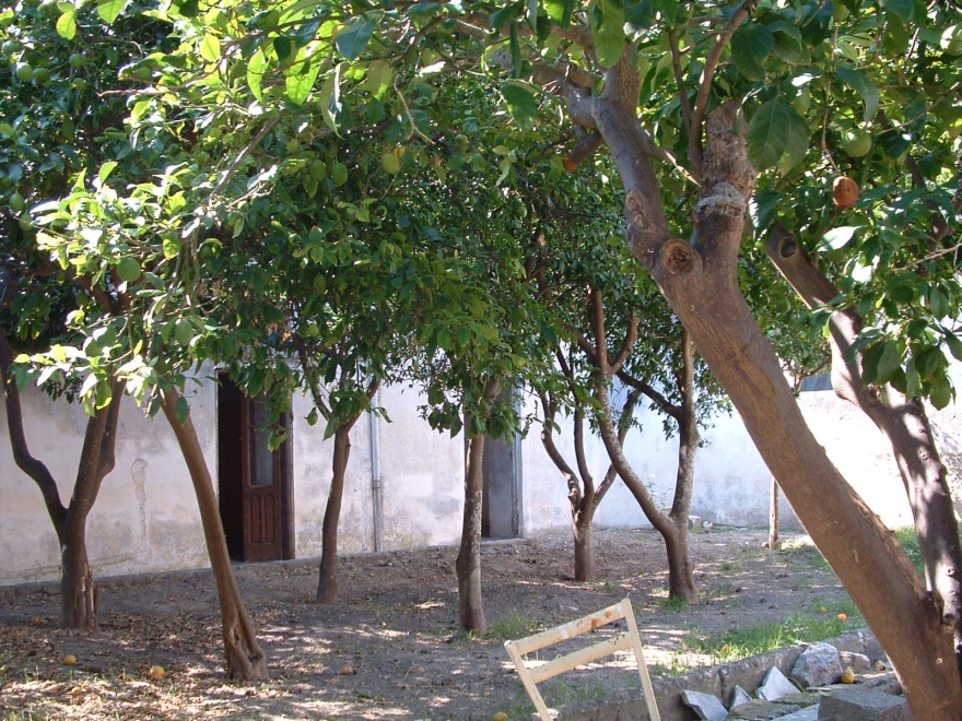 意大利"Saverio Vita"养老院改造记-14