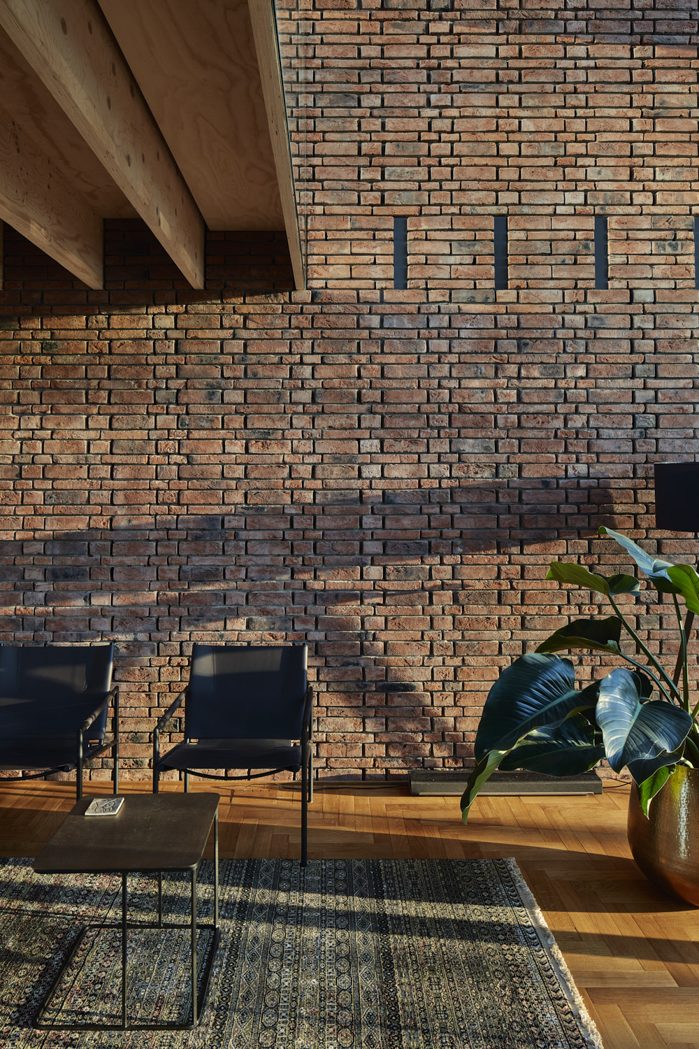 比利时 Tienen 的圆形砖房 | 40 厘米厚 15 米高的夯土墙-3