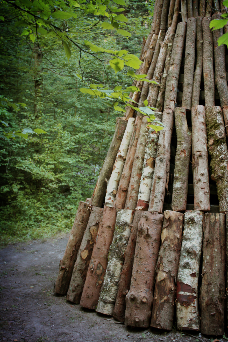 法国湖畔木构建筑· La Charbonnière-11