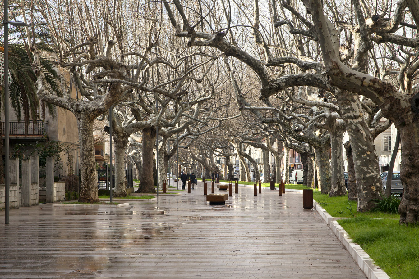 Viale della Libertà a Praia a Mare (CS)-1