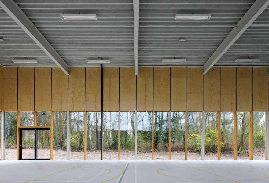 树林中的二元对话——比利时 KAU 体育馆设计解析-13