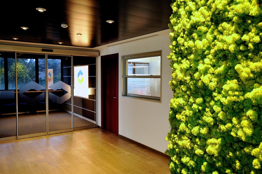 CETOC 办公室 · 绿色与红色的活力空间-2