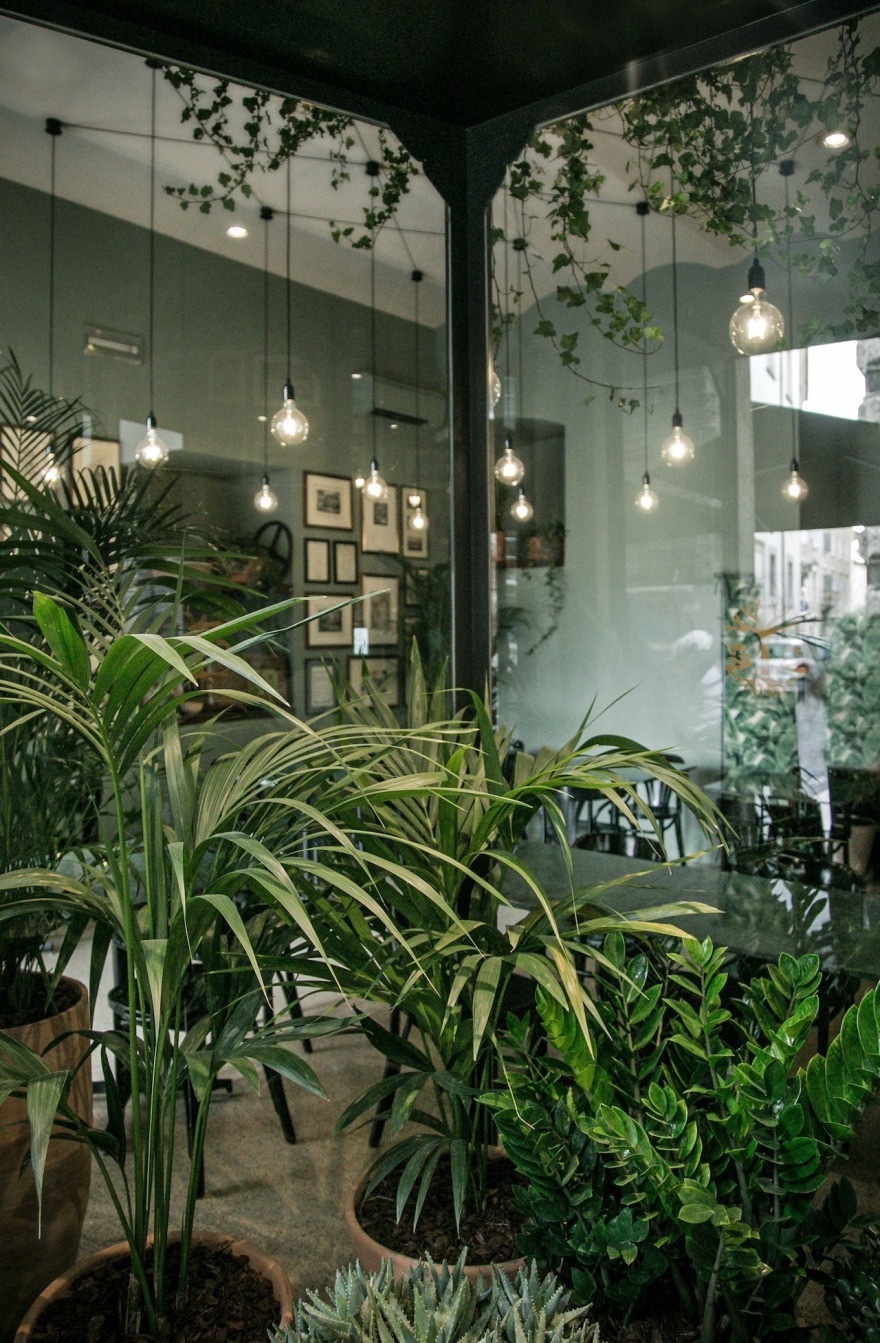 绿意盎然的历史餐厅翻新-9