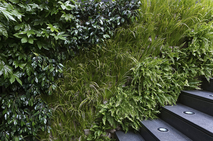 雅典中心地首家日式烧烤餐厅 | 红门 ACRM SA-14