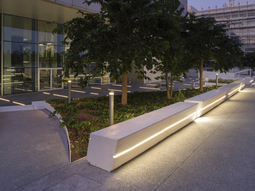 自然元素融合的创新工作空间-11