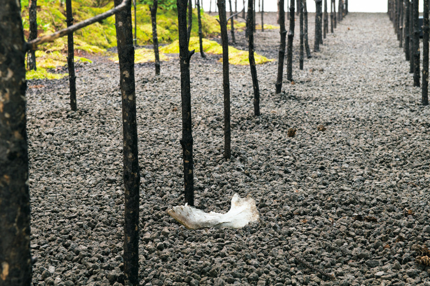 “呼唤希望”沉浸式装置丨奥地利维也纳丨Superflux设计工作室-39