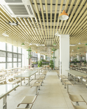 深圳市光明新区凤凰学校设计丨深圳大学建筑设计研究院有限公司“钟中+钟波涛”工作室