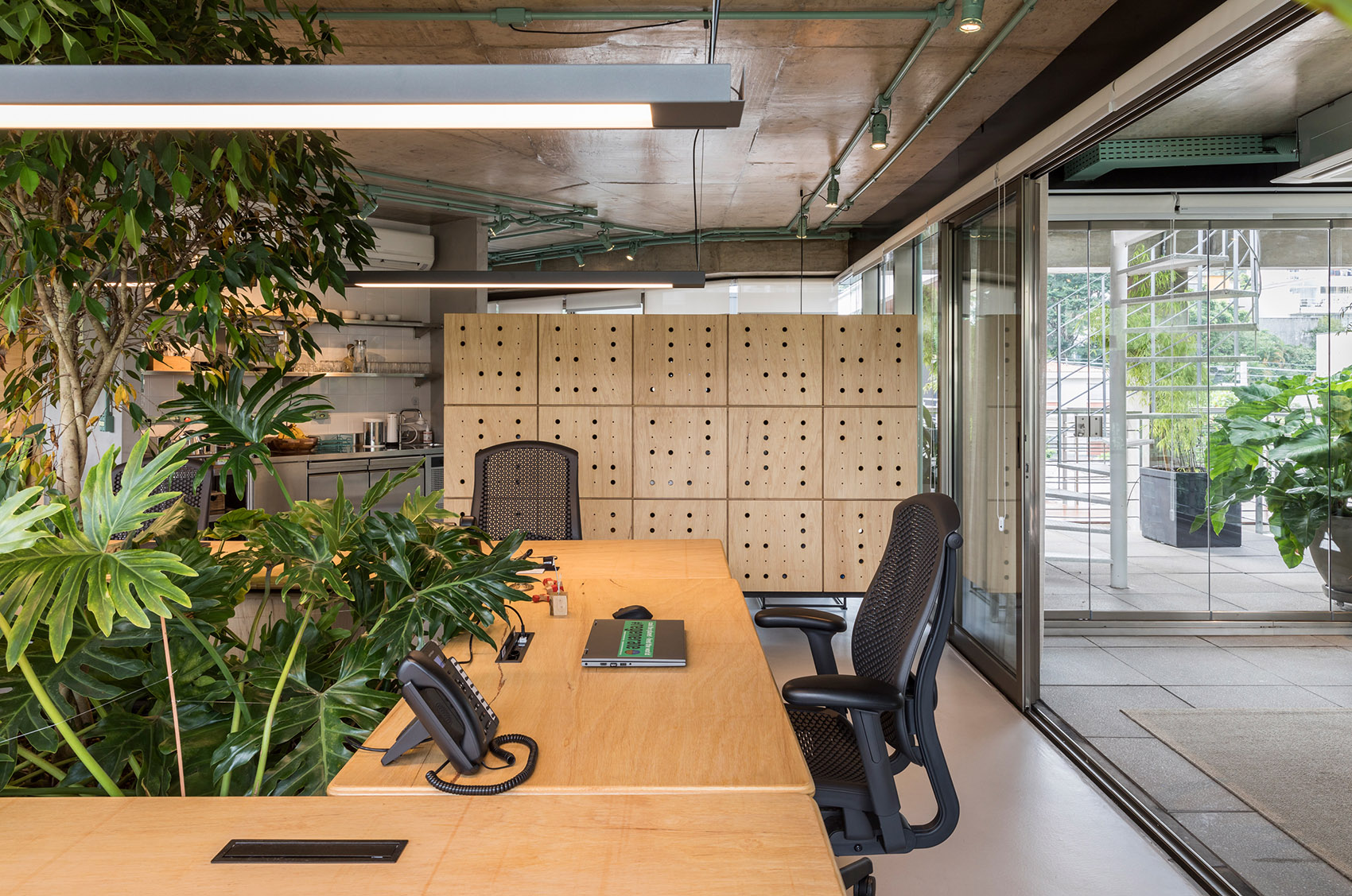 Rizoma办公空间，圣保罗/充满绿意的办公空间-44
