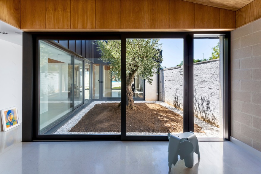 绿意盎然·隐私与通透共存的家-4