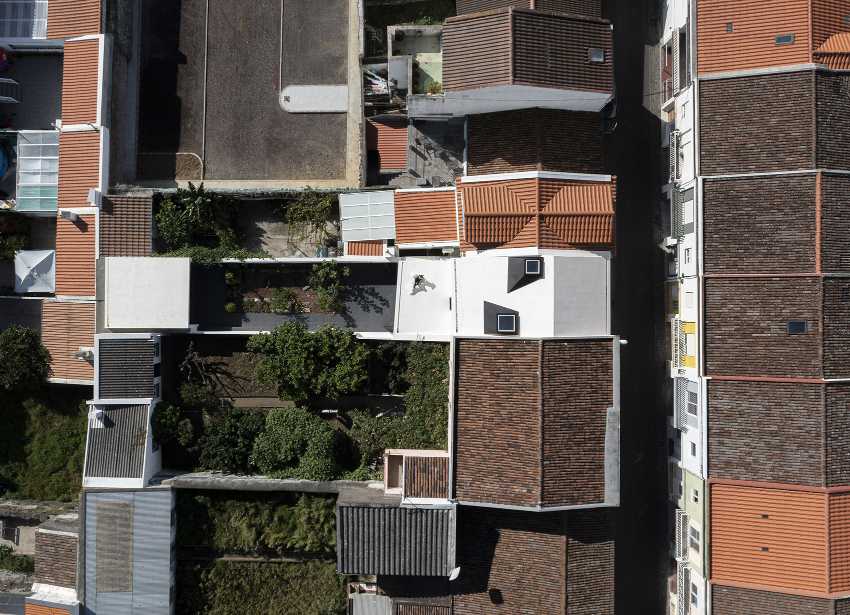风车住宅，葡萄牙/取景器带来的垂直视角-68