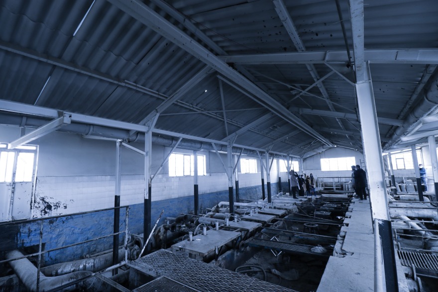 AquaFun 水族娱乐中心-11