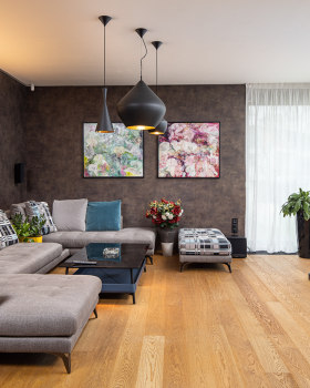 Stefan Vlad丨别墅建筑丨House X