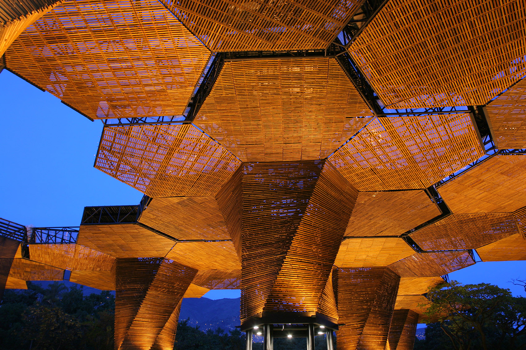 Orquideorama展亭，哥伦比亚/灵活延展的六边形-36