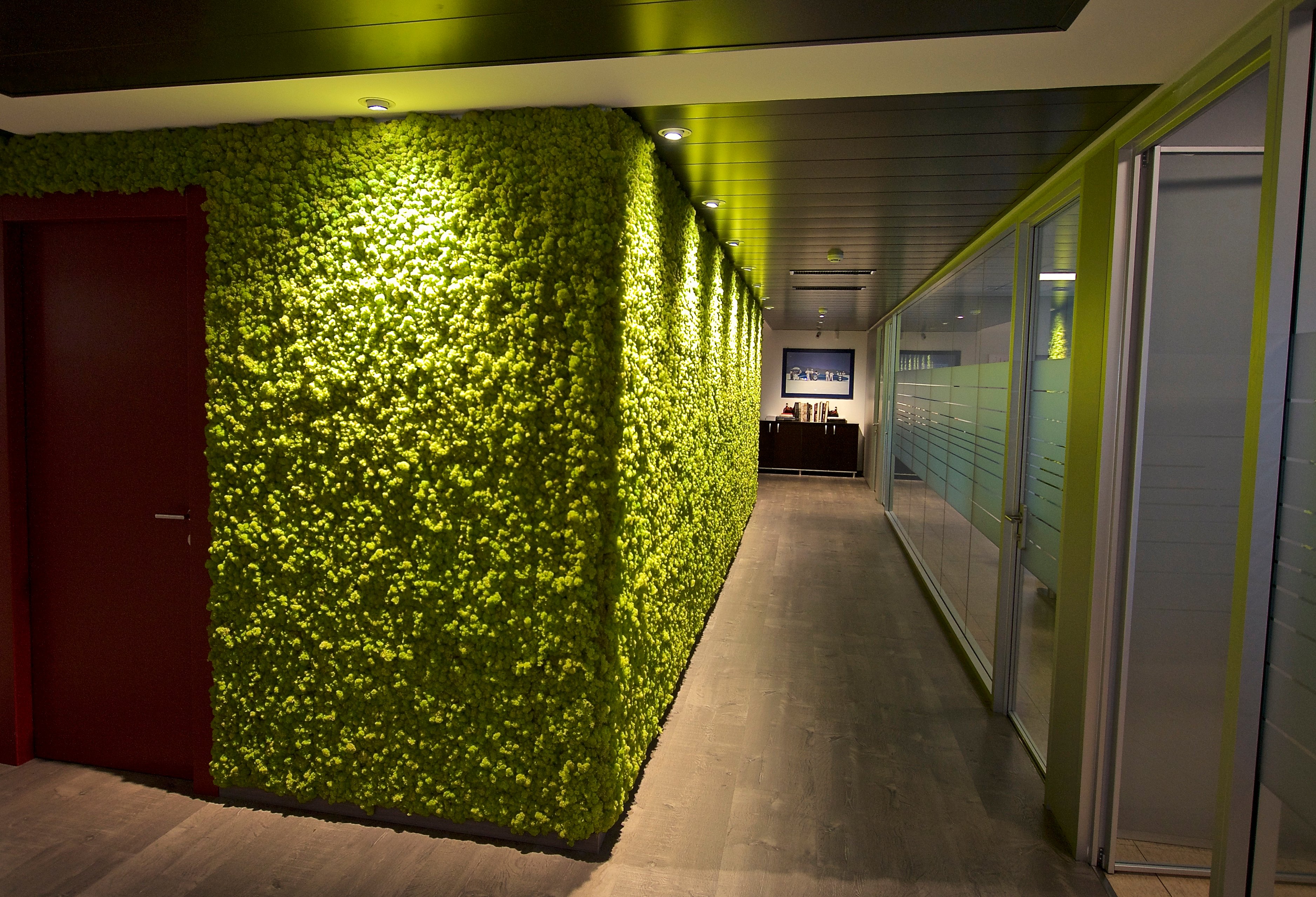 CETOC 办公室 · 绿色与红色的活力空间-3