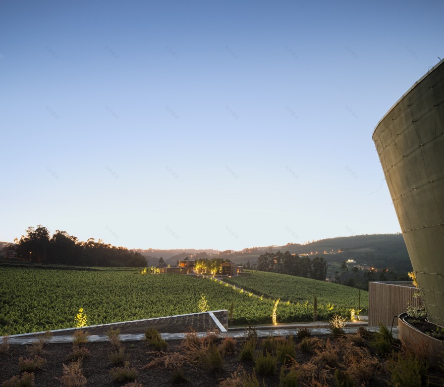 葡萄牙葡萄酒体验酒店·MONVERDE 乡村酒店-201