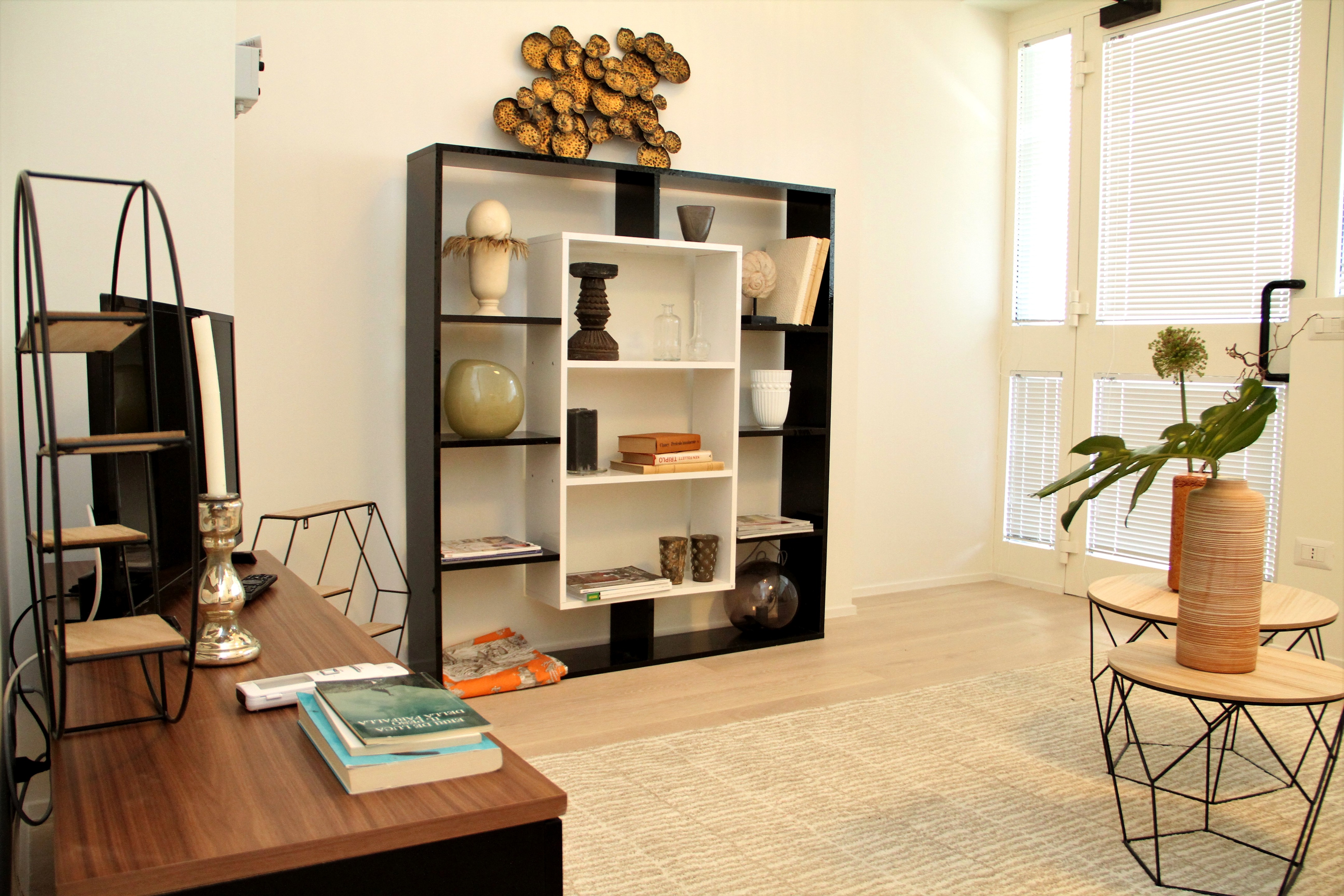 米兰“瓦特琳娜”公寓改造-2