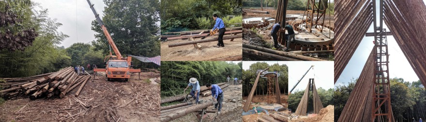 森林中的森林——溧阳杨湾游客中心-23