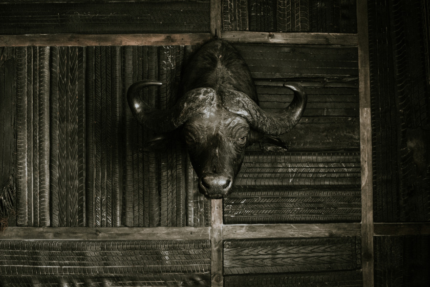 盐城戈蒂洛尼家族美食之旅-33