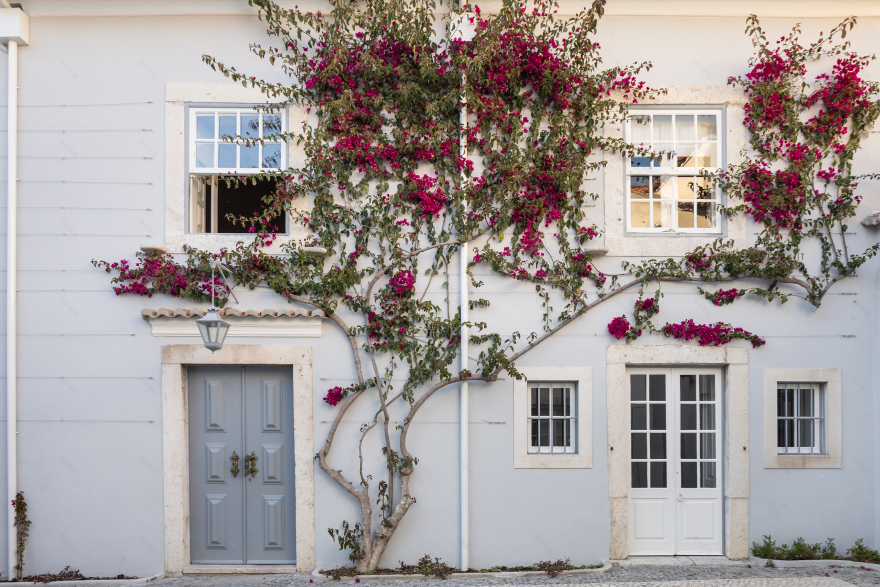 里斯本 17 世纪历史建筑的现代新生-56